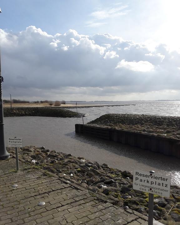 Strandfloh Bielenberg